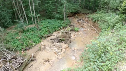 Nature and forest streams Stock Footage 139125515