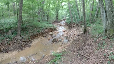 Nature and forest streams Stock Footage 139125576