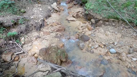 Nature and forest streams Stock Footage 139125980