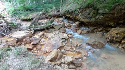 Nature and forest streams Stock Footage 139125984