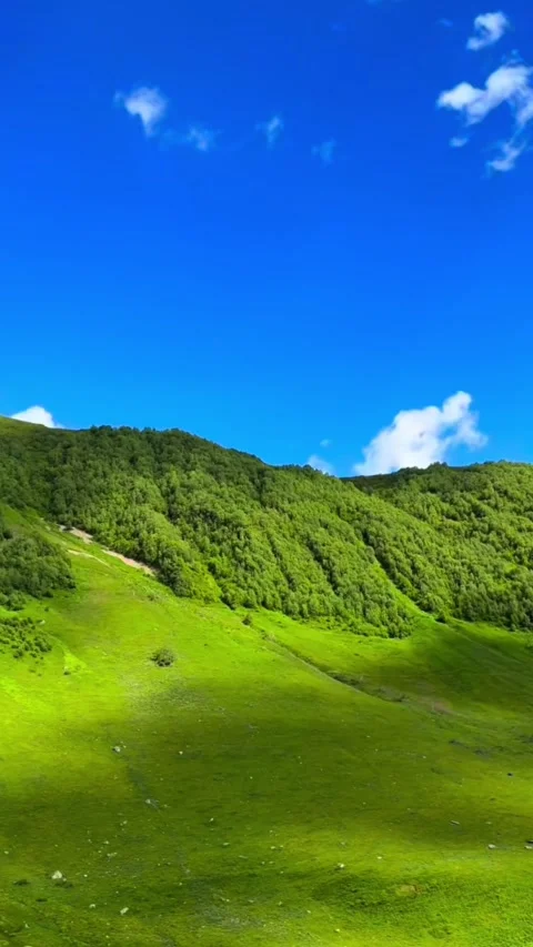 Nature and greenery Stock Footage 335321884