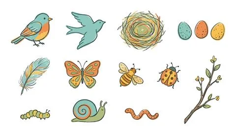 Nature and insect set featuring birds eggs nest butterfly bee ladybug snail.. Stock Illustration