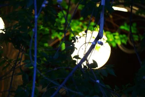 Nature and light Stock Photos