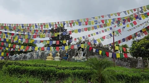 Nature and Nirvana: Buddha Temples in Uttarakhand Stock Footage 317072356