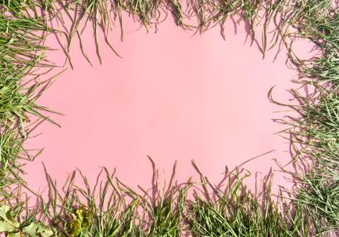 Nature and plants concept Stock Illustration