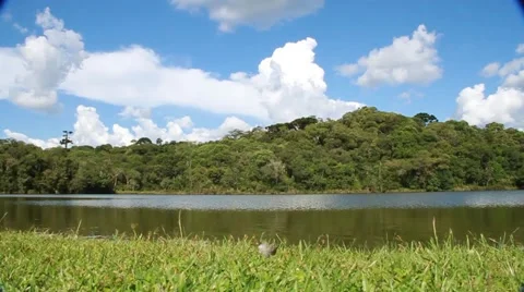 Nature and sky 動画素材 46089906