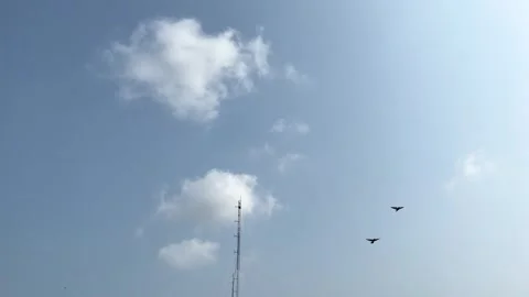 Nature and Technology, Communication Tower And Birds Flying On Blue Sky Stock Footage 276097862