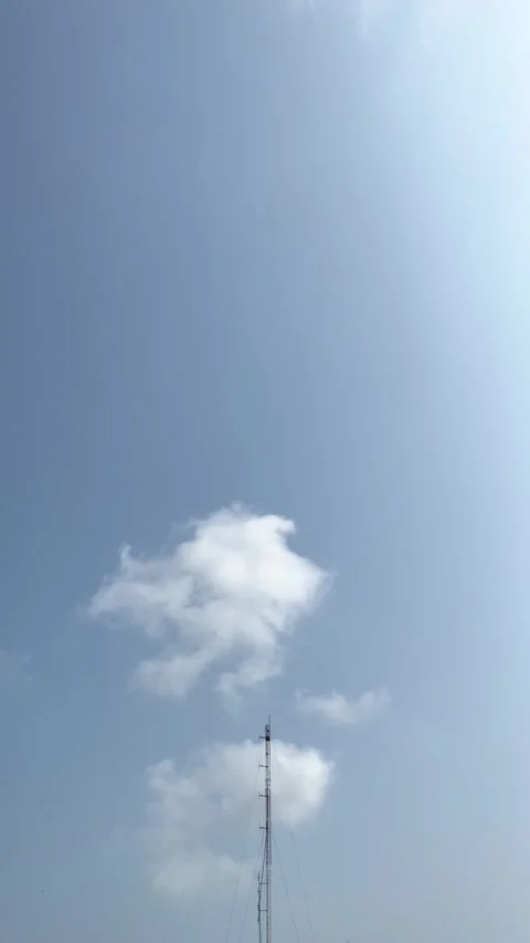 Nature and Technology, Communication Tower And Bird Flying On Blue Sky Stock Footage 276097881