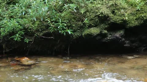 Nature and water Stock-Footage 12531764