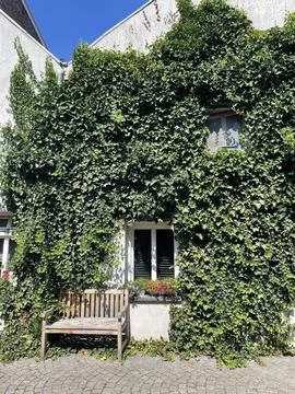 Nature architecture. Stock Photos