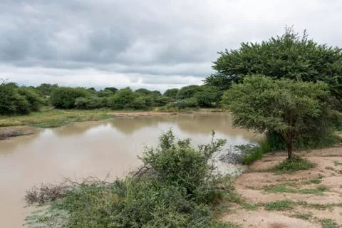 Nature area with water in reserve Stock Photos