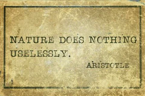 Nature Aristotle Stock Illustration