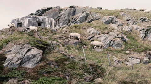 Nature around Stavanger Stock Footage 127136545