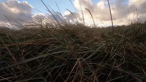Nature around Stavanger Stock Footage 127136776