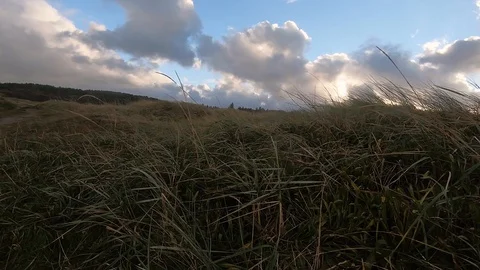 Nature around Stavanger Stock Footage 127137172