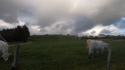 Nature around Stavanger Video stock 127254662