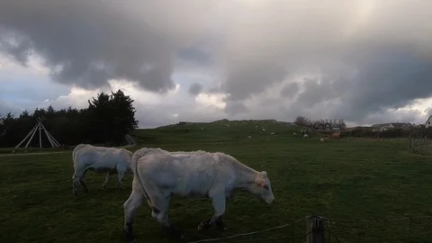 Nature around Stavanger Stock Footage 127257966
