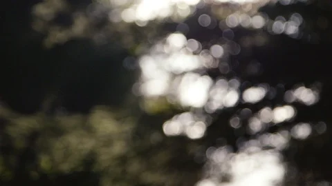 Nature atmosphere 2 動画素材 127801808