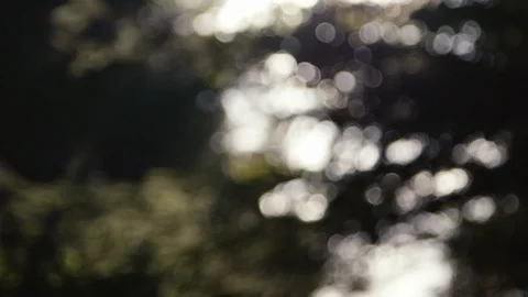 Nature atmosphere 스톡 동영상 127787249