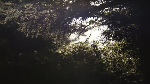 Nature atmosphere Video stock 127802610