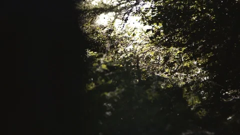 Nature Atmosphere Video stock 127808120