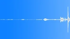Nature Atmospheres Everglades Day Bird Chirps Caws Distant Goat BellSound Effect