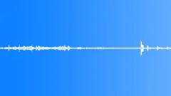 Nature Atmospheres Everglades Day Morning Bird Chirps Close Distant InSound Effect