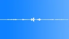 Nature Atmospheres Everglades Day Morning Bird Chirps Close Distant In Sound Effect