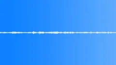 Nature Atmospheres Everglades Day Morning Insects Constant Trill BirdSound Effect