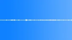 Nature Atmospheres Everglades Evening Insects Busy Trill Occasional BirSound Effect