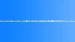 Nature Atmospheres Everglades Evening Insects Busy Trill Occasional BirSound Effect