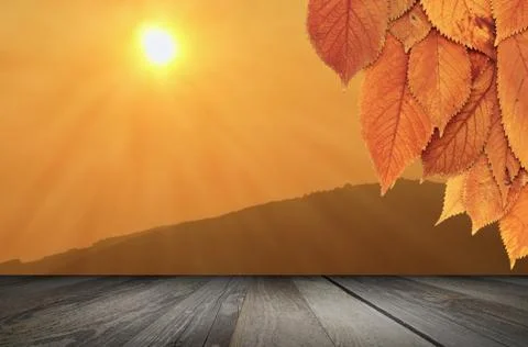 Nature autumn backdrop Stock Illustration