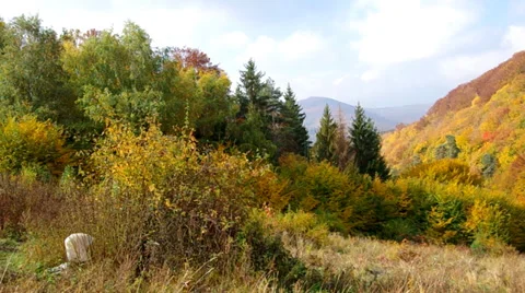 Nature in autumn Stock Footage 32502917