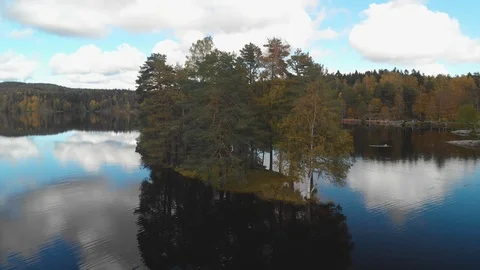 Nature in Autumn time Video stock 117714886