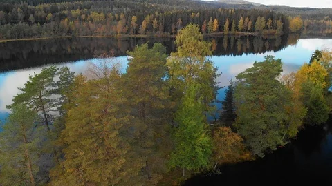 Nature in Autumn time Video stock 117715752