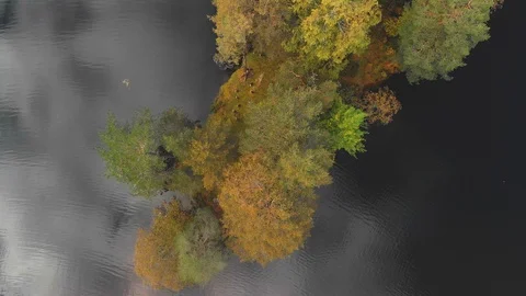 Nature in Autumn time Video stock 117717183