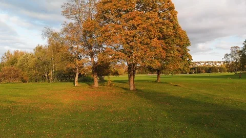 Nature in Autumn time Video stock 117720535