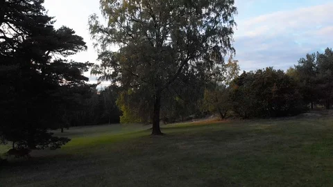 Nature in Autumn time Video stock 117723839