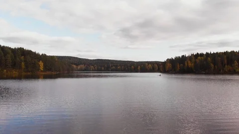Nature in Autumn time Video stock 117725403