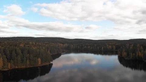 Nature in Autumn time Video stock 117727947