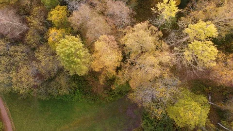 Nature in Autumn time Video stock 117728589
