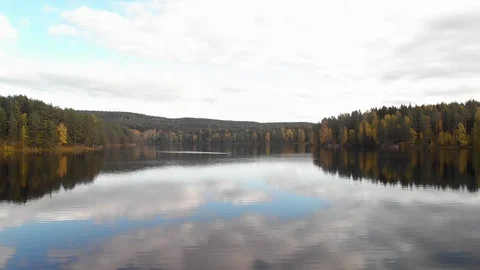 Nature in Autumn time Video stock 117730022
