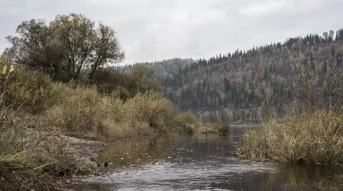 Nature autumn Timelapse Stock Footage 68391669