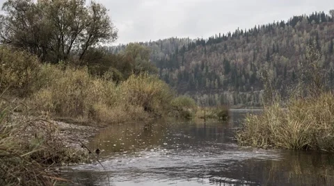 Nature autumn Timelapse Stock Footage 68391796
