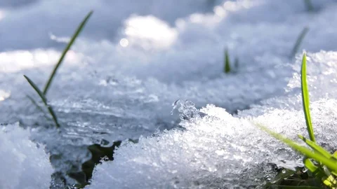 Nature awakening after winter 库存影片 101740421