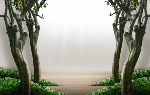 Nature backdrop with surrounding trees in forest. Isolated and clipping path Photos