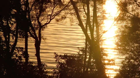 Nature Background 1 Stock Footage 24633598