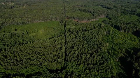 Nature background in 4K resolution. Stock Footage 158796378
