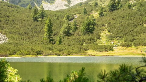 Nature Background around Lake Hyperlapse in Pirin Mountains in Bulgaria 1 Stock Footage 220295363