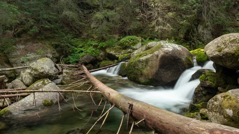 Nature Background around River Hyperlapse in Pirin Mountains in Bulgaria Stock-Footage 220295350